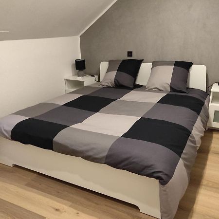 Le Business, Duplex Moderne Special Pro De Passage Apartment Sarreguemines Ngoại thất bức ảnh
