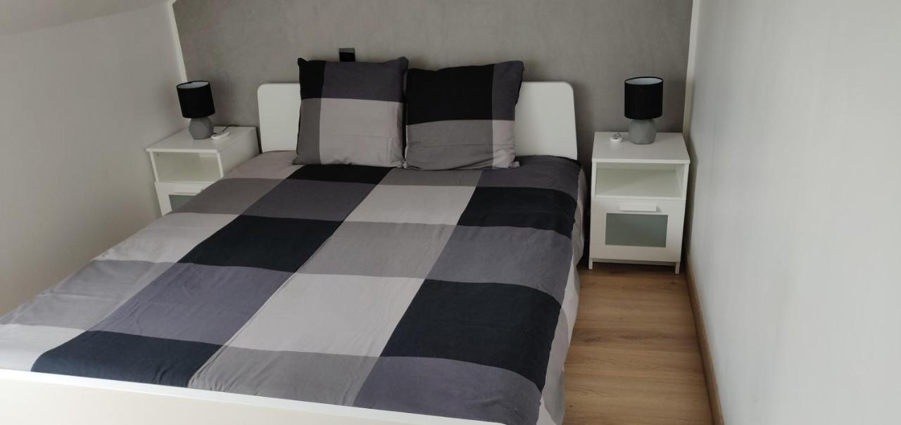 Le Business, Duplex Moderne Special Pro De Passage Apartment Sarreguemines Ngoại thất bức ảnh