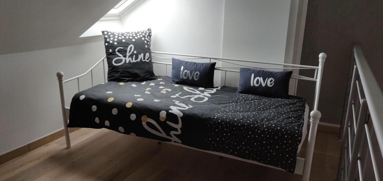 Le Business, Duplex Moderne Special Pro De Passage Apartment Sarreguemines Ngoại thất bức ảnh