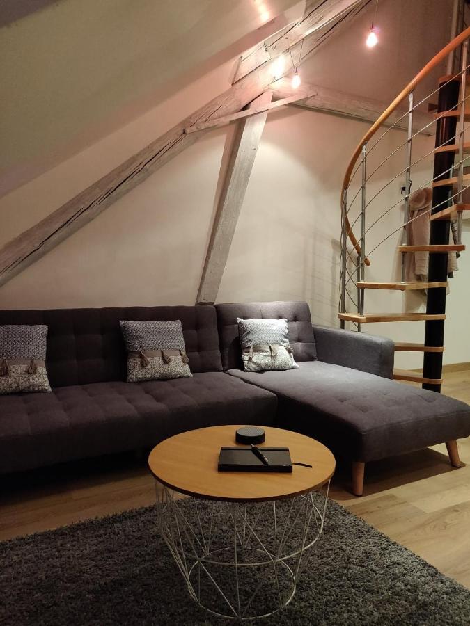 Le Business, Duplex Moderne Special Pro De Passage Apartment Sarreguemines Ngoại thất bức ảnh