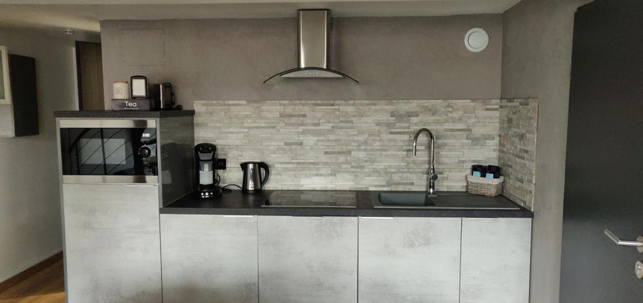 Le Business, Duplex Moderne Special Pro De Passage Apartment Sarreguemines Ngoại thất bức ảnh