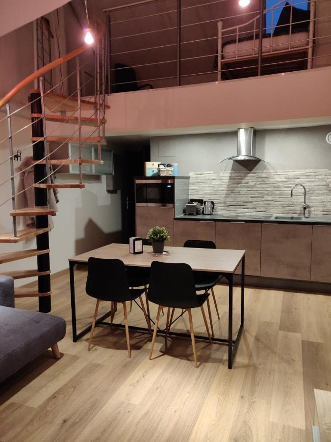 Le Business, Duplex Moderne Special Pro De Passage Apartment Sarreguemines Ngoại thất bức ảnh
