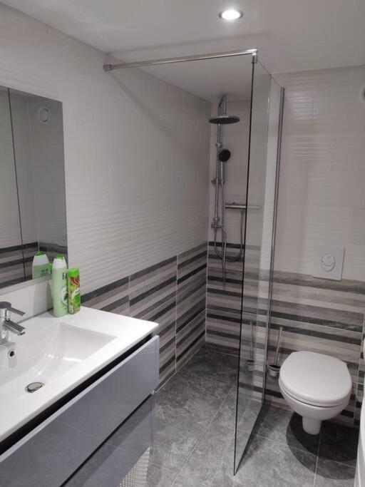 Le Business, Duplex Moderne Special Pro De Passage Apartment Sarreguemines Ngoại thất bức ảnh
