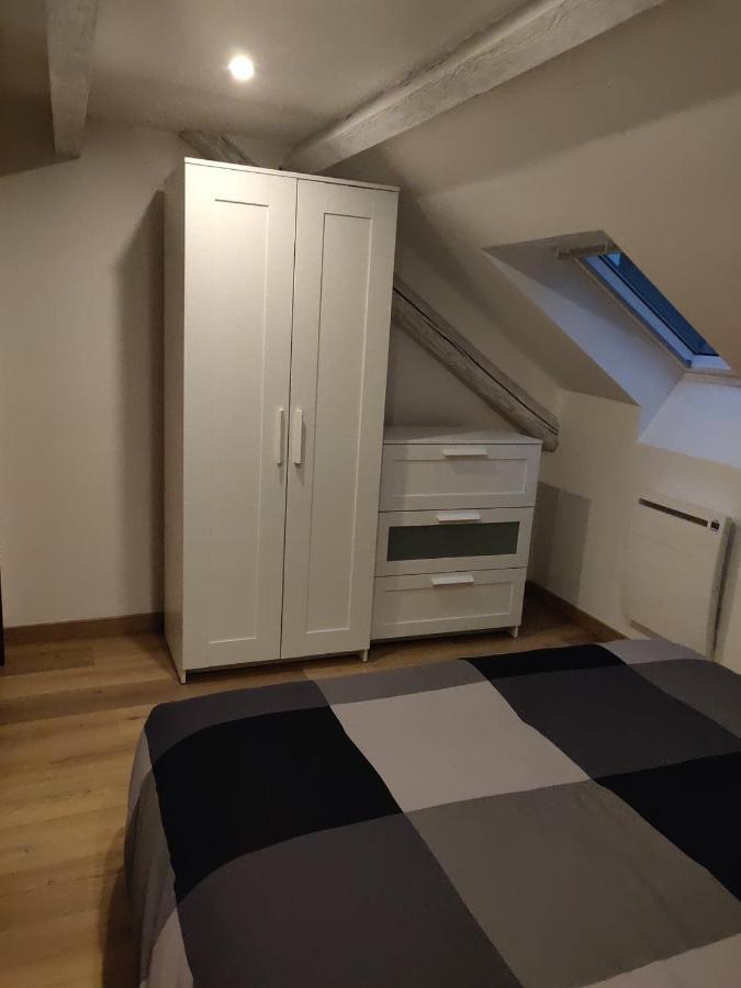 Le Business, Duplex Moderne Special Pro De Passage Apartment Sarreguemines Ngoại thất bức ảnh