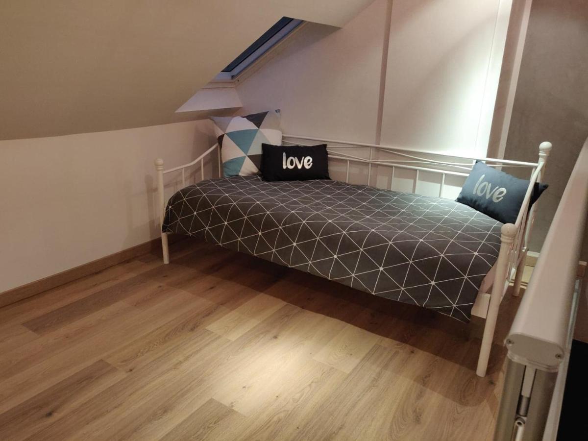 Le Business, Duplex Moderne Special Pro De Passage Apartment Sarreguemines Ngoại thất bức ảnh